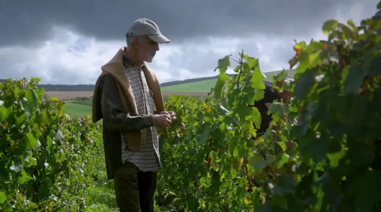 Weinagentur Gevenich - Champagne Drappier