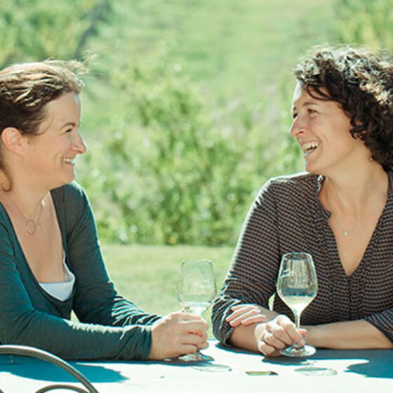 Château Thieuley - Vignobles Famille Courselle - Grand Vin de Bordeaux